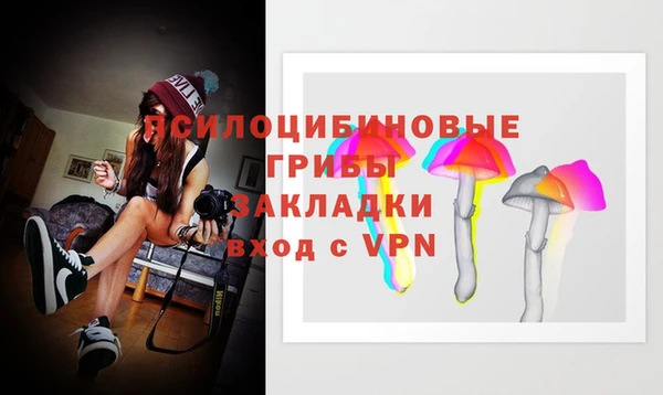 прущий лед Аркадак
