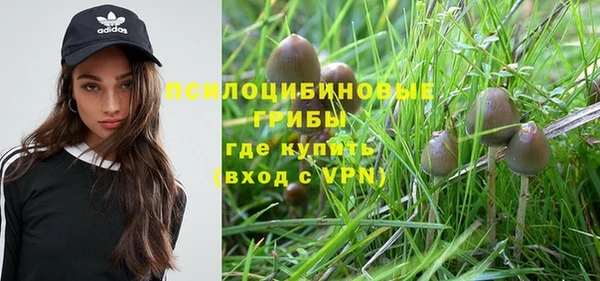 мескалин Нефтегорск