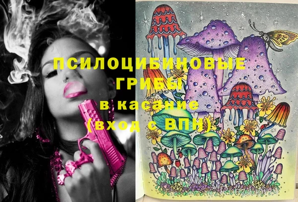 a pvp Армянск
